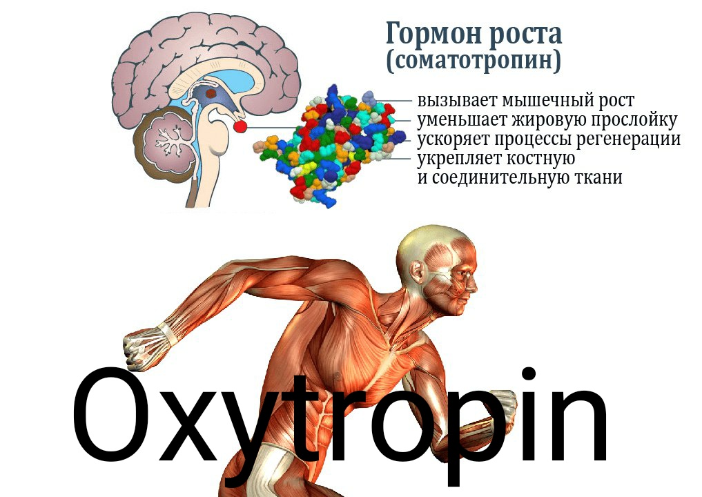 Oxytropin - гормон роста - Бодибилдинг форум AnabolicShops