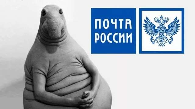 ControlBody - прогрессируйте вместе с нами. - Бодибилдинг форум AnabolicShops