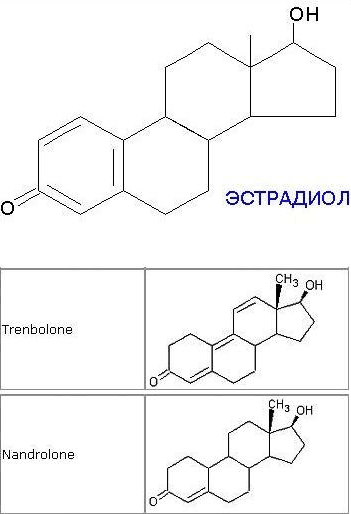 PentaLab - Бодибилдинг форум AnabolicShops